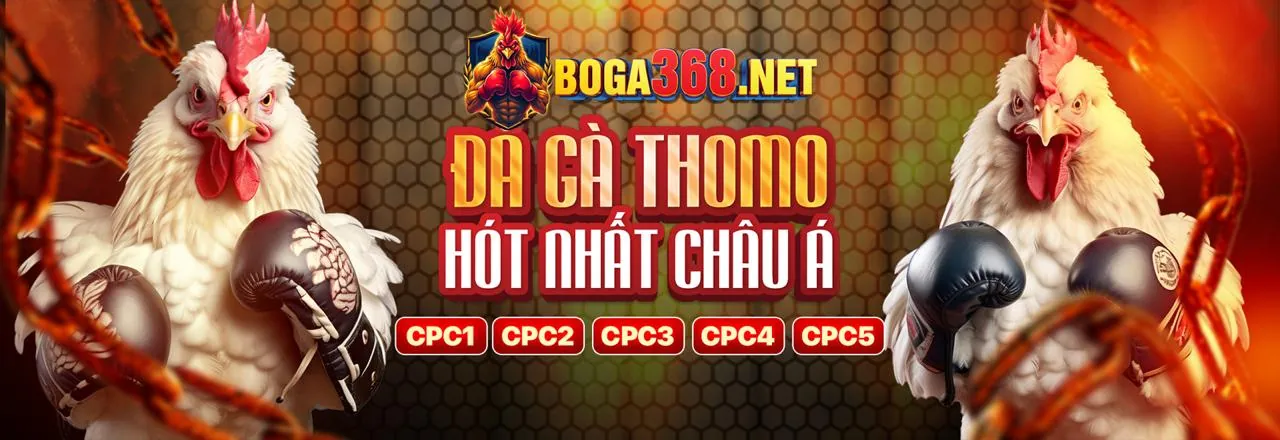 Ứng dụng Vu 88 trên điện thoại